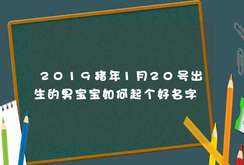 2019猪年1月20号出生的男宝宝如何起个好名字,第1张