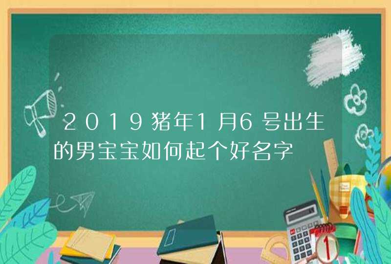 2019猪年1月6号出生的男宝宝如何起个好名字,第1张