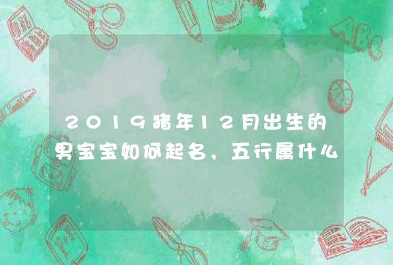 2019猪年12月出生的男宝宝如何起名，五行属什么,第1张