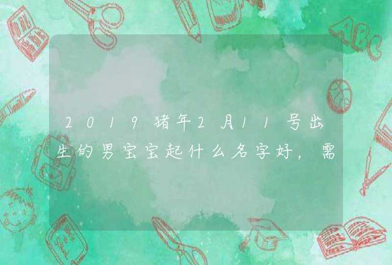 2019猪年2月11号出生的男宝宝起什么名字好，需要注意什么,第1张