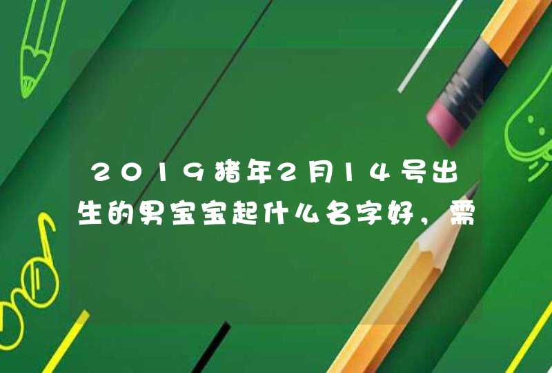 2019猪年2月14号出生的男宝宝起什么名字好，需要注意什么,第1张
