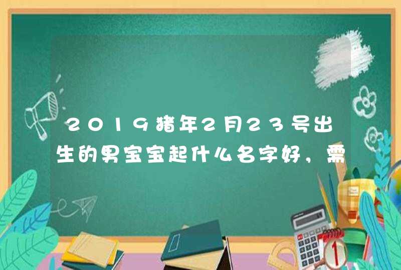 2019猪年2月23号出生的男宝宝起什么名字好，需要注意什么,第1张