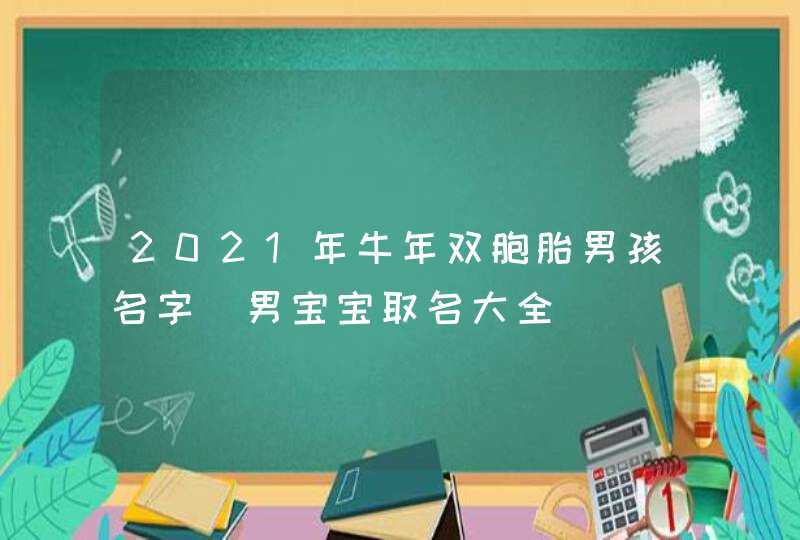 2021年牛年双胞胎男孩名字_男宝宝取名大全,第1张