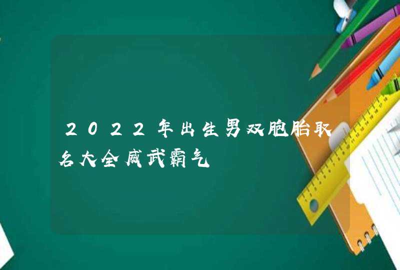 2022年出生男双胞胎取名大全威武霸气,第1张