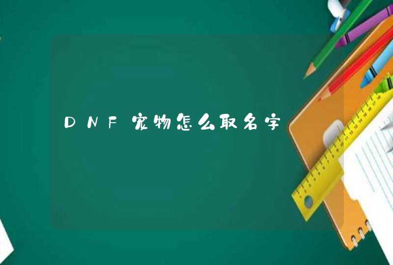 DNF宠物怎么取名字,第1张