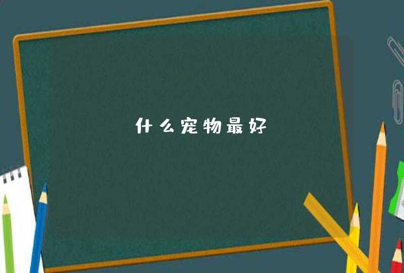 dnf什么宠物最好,第1张