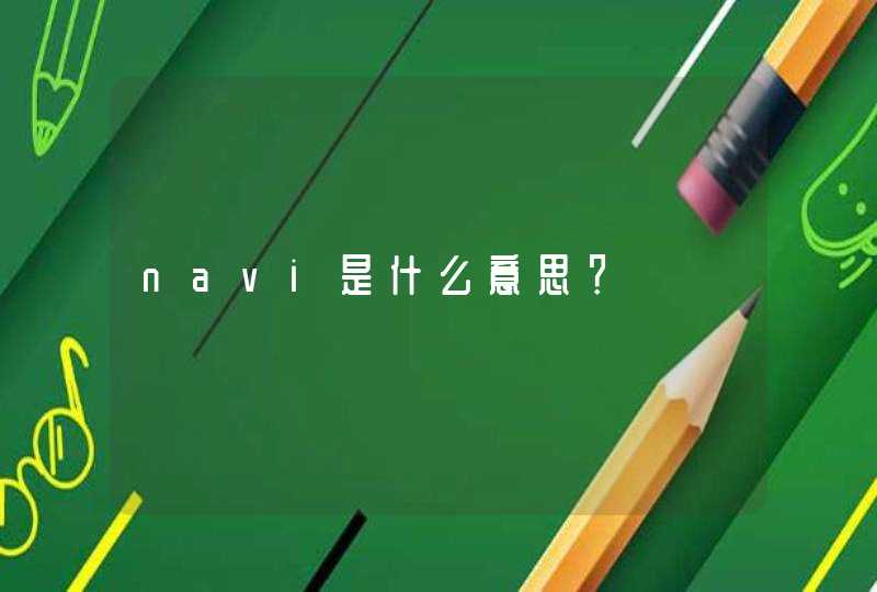 navi是什么意思？,第1张